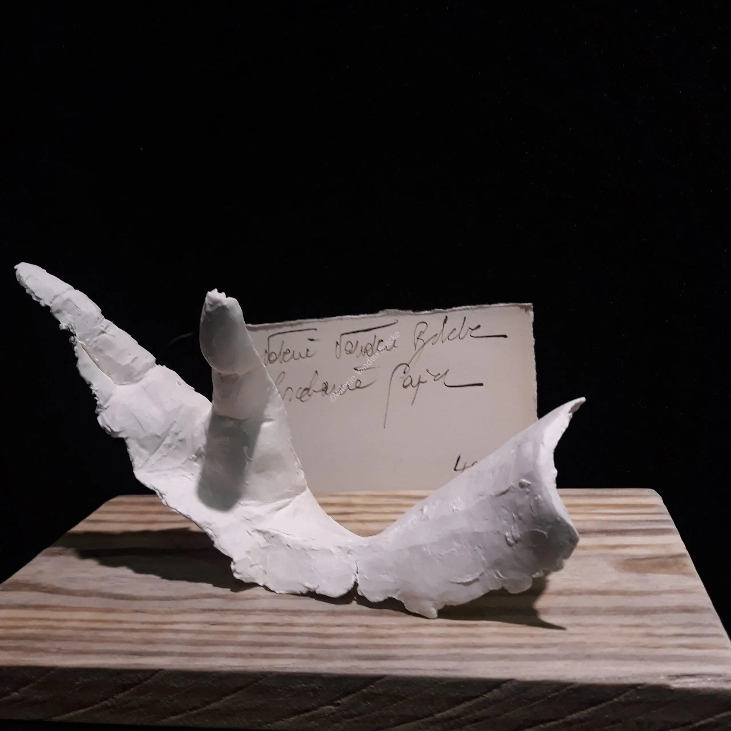 Silhouette · porcelaine papier, 25 × 10 × 8 cm